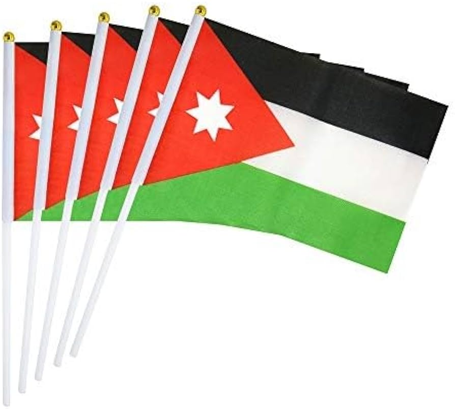 Hand Held Small Mini Flag Jordan Flag Stick-set of 12