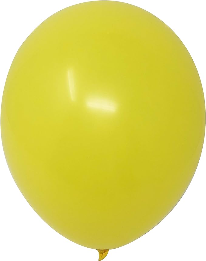 Plain Coloured Balloons 9 inch