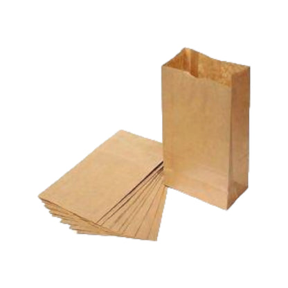 Brown Paper Bag-Pack of 25