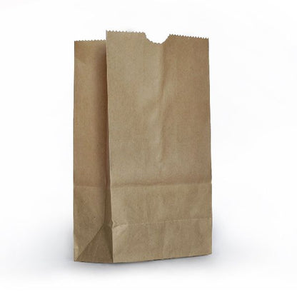 Brown Paper Bag-Pack of 25